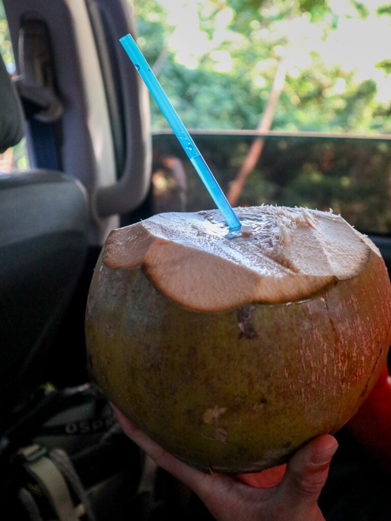 coconut in el salvador