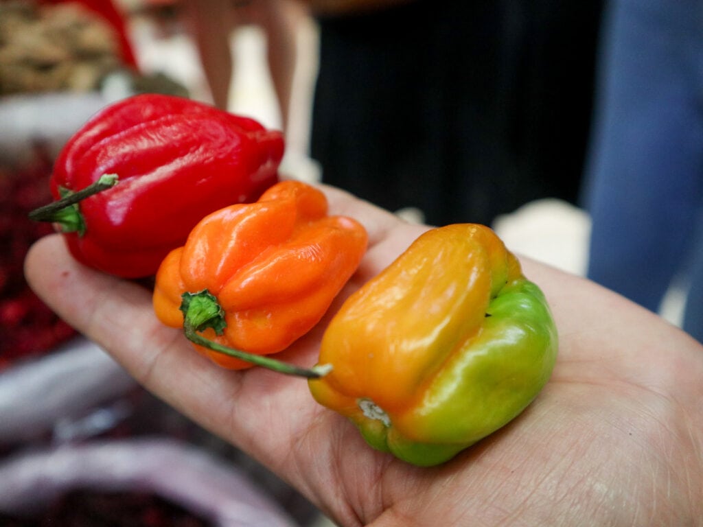 chili peppers at mercado medellin in mexico city