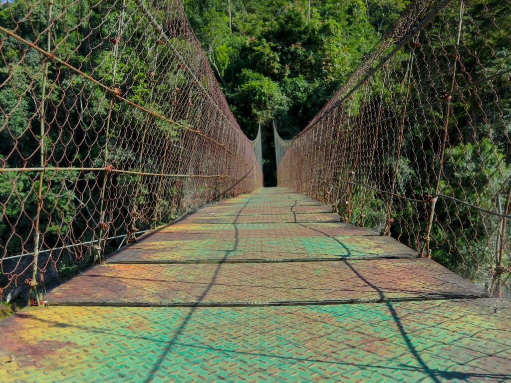 Bridge into Pico Bonito Park