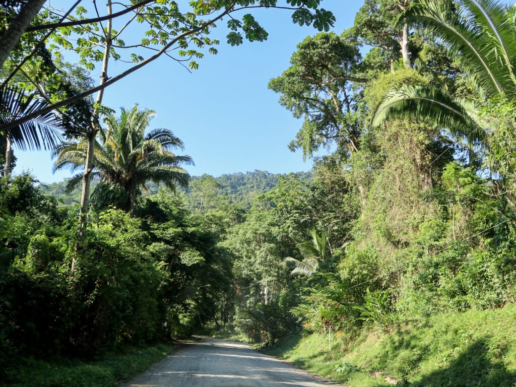 Road in Cangrejal River Valley