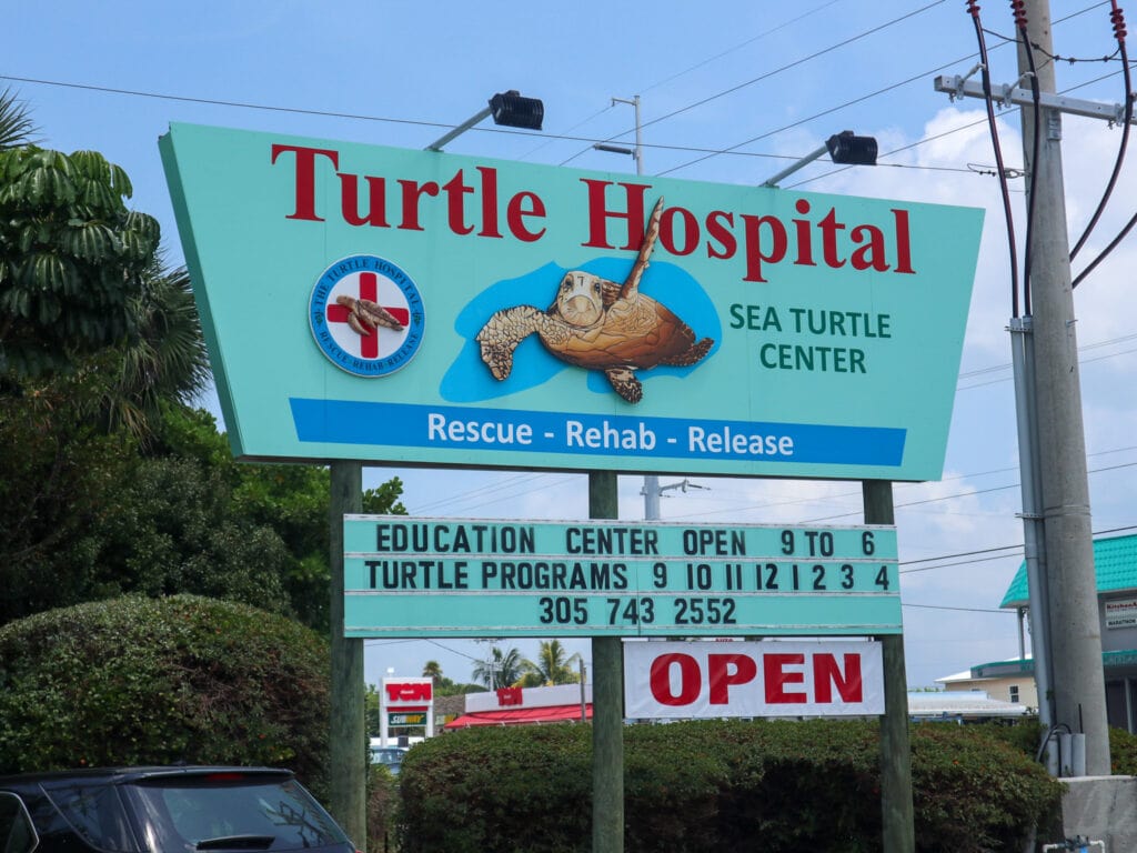 the turtle hospital in marathon in florida keys