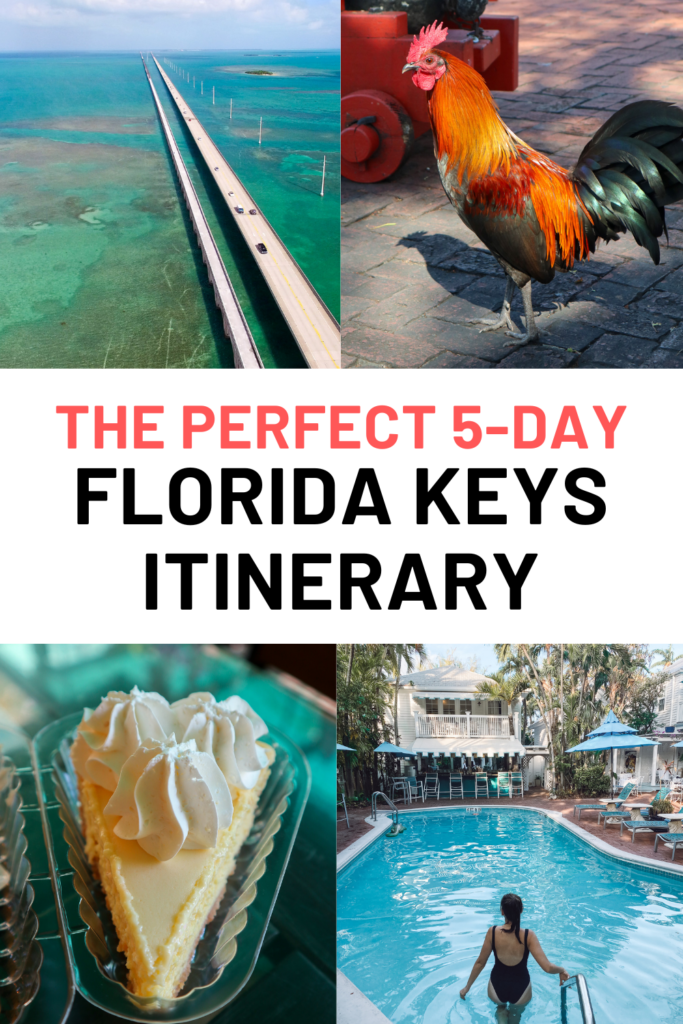 Check out this 5 day Florida Keys itinerary with stops in Key Largo, Islamorada, Marathon, and Key West - perfect for first time visitors.