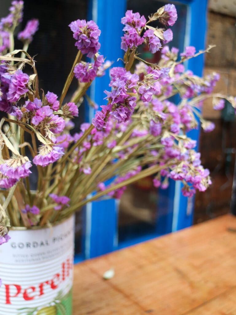 purple flowers