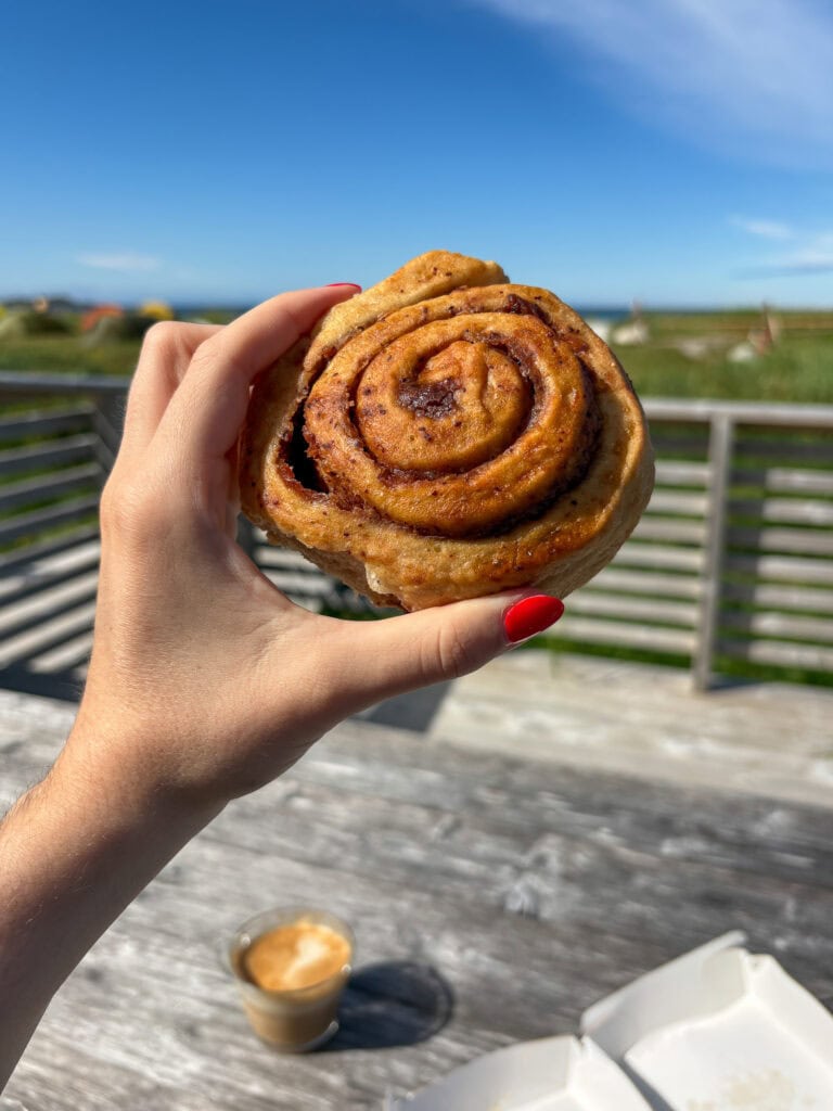 Hand holding a cinnamon roll outdoors with a scenic background.