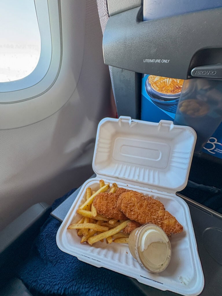 Gluten-free fried chicken with fries and sauce on airplane tray table.