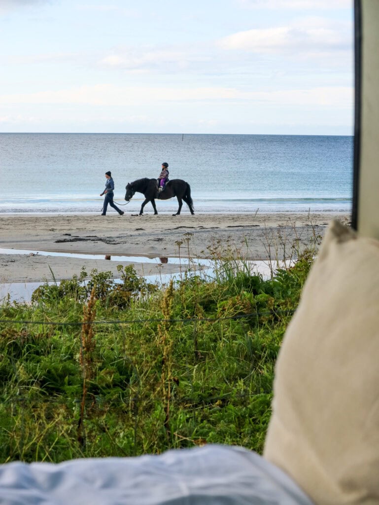 People walking and riding a horse along a beach shoreline with ocean view.