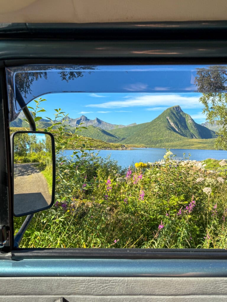 Scenic view of mountains and lake seen through a vehicle window with flowers in foreground.