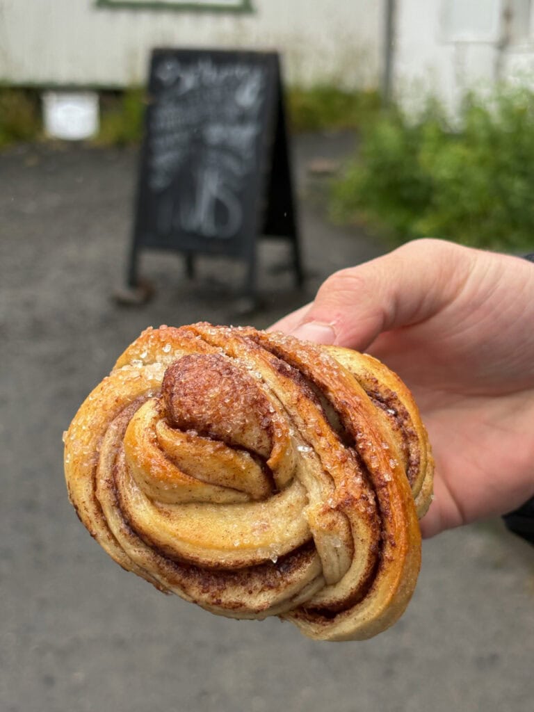 Hand holding a cinnamon roll with a blurred outdoor background.